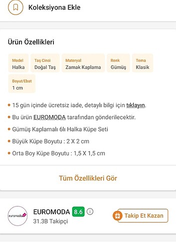 Beden gri Renk Silver küpe seti
