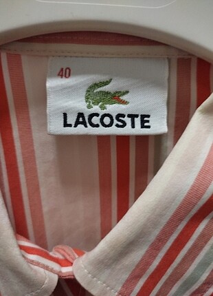 Lacoste bayan gömlek