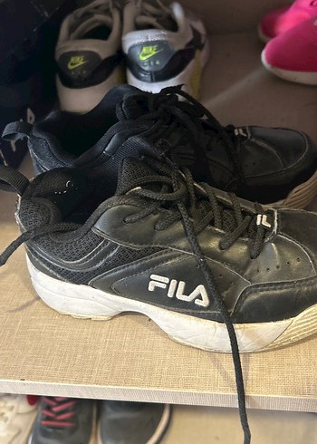 Fila  31