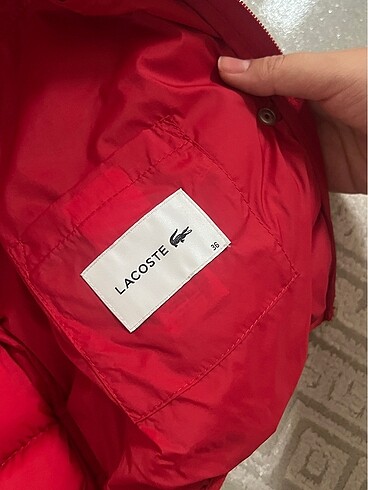 Lacoste Lacoste yelek