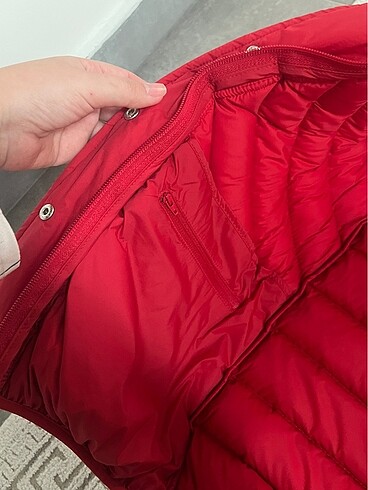 36 Beden Lacoste yelek