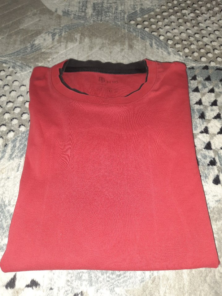 Erkek Çocuk Kırmızı Uzun Kollu Baskılı Tişört - Görsel 3