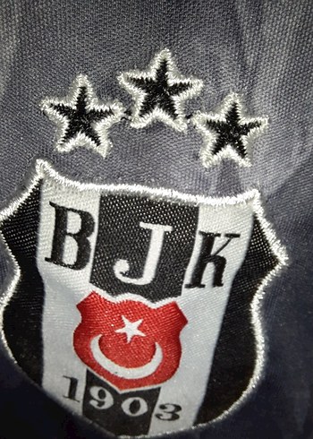 Beşiktaş Baskılı Gri Erkek Tişört - Görsel 4