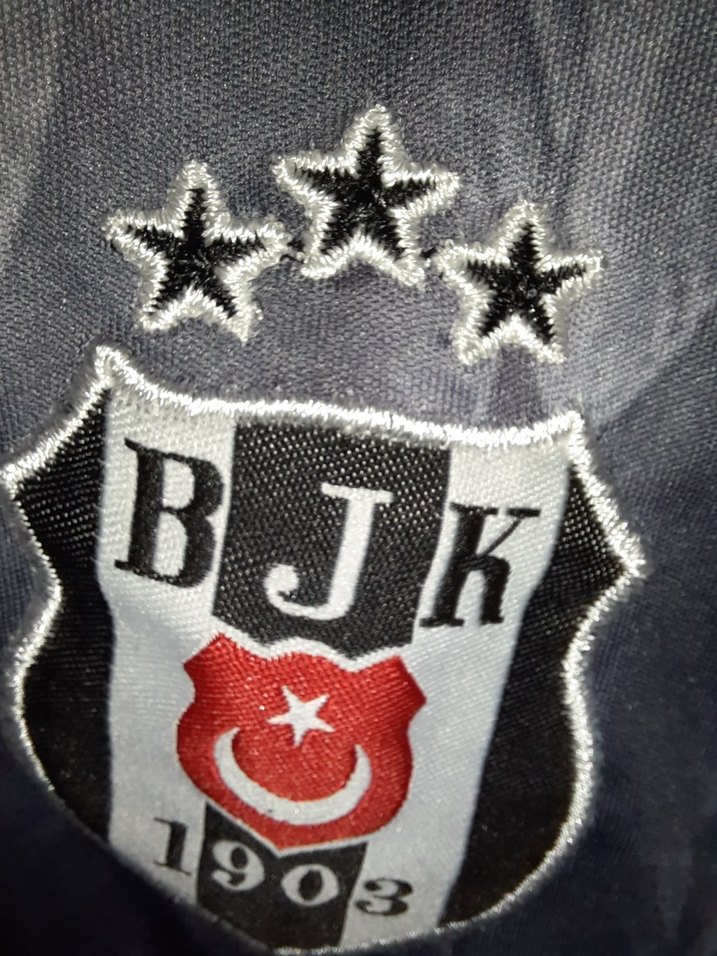 Beşiktaş Baskılı Gri Erkek Tişört - Görsel 4