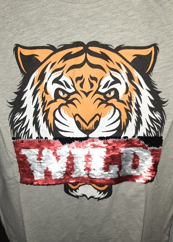 Gri Erkek Çocuk Kolsuz Baskılı Tişört - Görsel 2