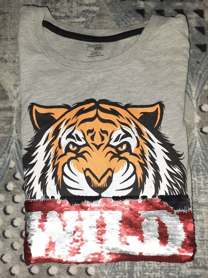 Gri Erkek Çocuk Kolsuz Baskılı Tişört - Görsel 5