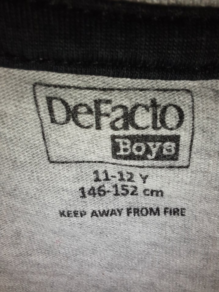 Gri Erkek Çocuk Kolsuz Baskılı Tişört - Görsel 3