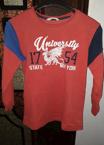 Renkli Baskılı Erkek Çocuk Tişörtleri - Görsel 7