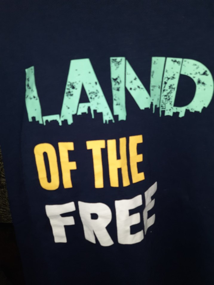 Erkek Mavi Baskılı Kısa Kollu Denim Tişört - Görsel 3