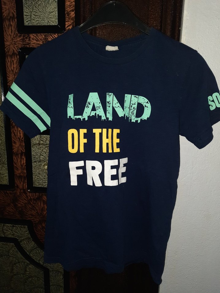 Erkek Mavi Baskılı Kısa Kollu Denim Tişört - Görsel 2