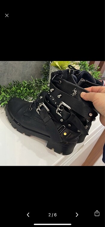 U.S Polo Assn. Polo bot