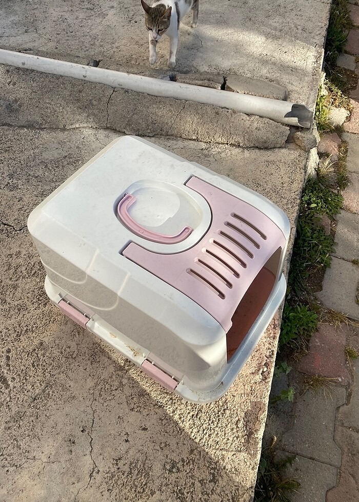 Kedi tuvaleti - Görsel 2