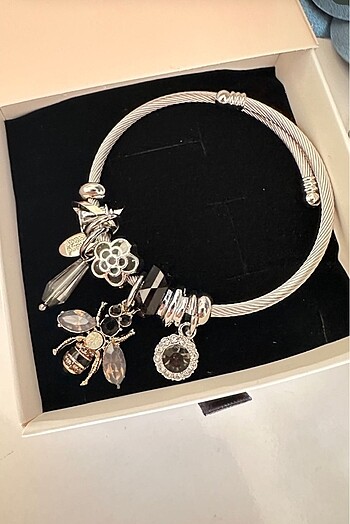 Çelik silver Pandora