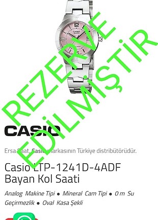 CASİO LTP-1241 BAYAN KOL SAATİ