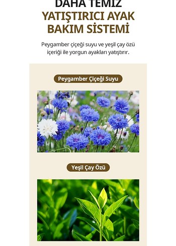 Atomy Foot Scrub Ayak Yıkama Jeli - Görsel 10