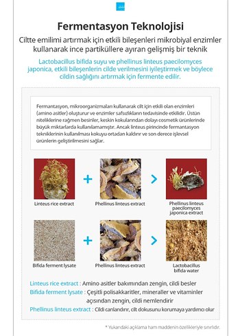 Atomy Göz Kremi 40 ml - Görsel 11