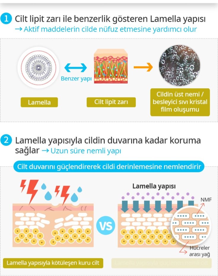 Atomy Shea Butter ve Moringa Özlü Vücut Kremi - Görsel 4