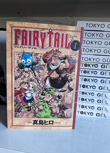 Fairy Tail Manga 