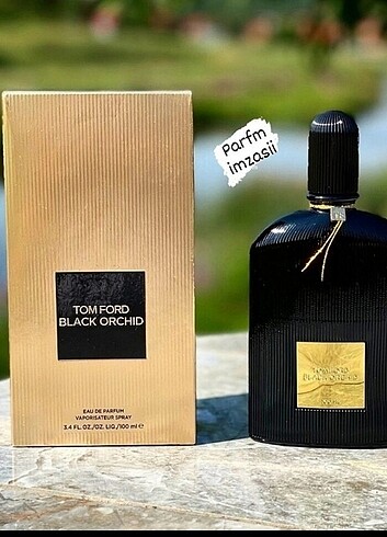 Black orchid 