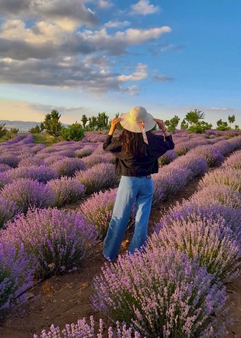 Yırtık jean - Görsel 2