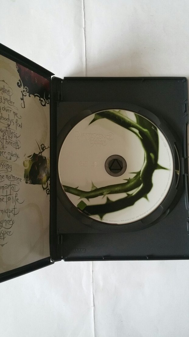Evanescence - Anywhere But Home Dvd - Görsel 3