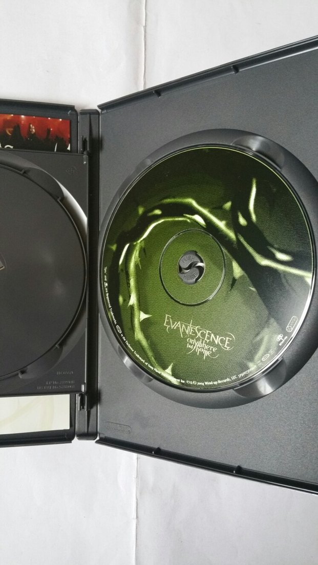 Evanescence - Anywhere But Home Dvd - Görsel 4