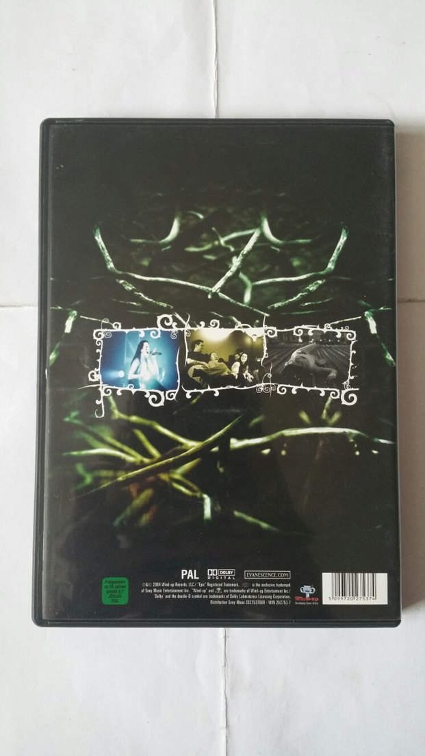 Evanescence - Anywhere But Home Dvd - Görsel 2