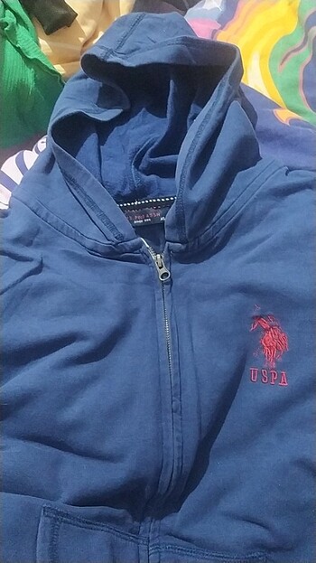 Polo hırka 