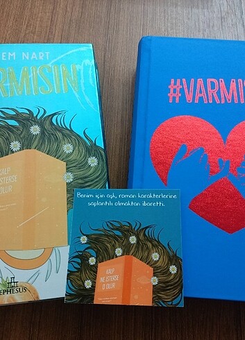 Varmısın 