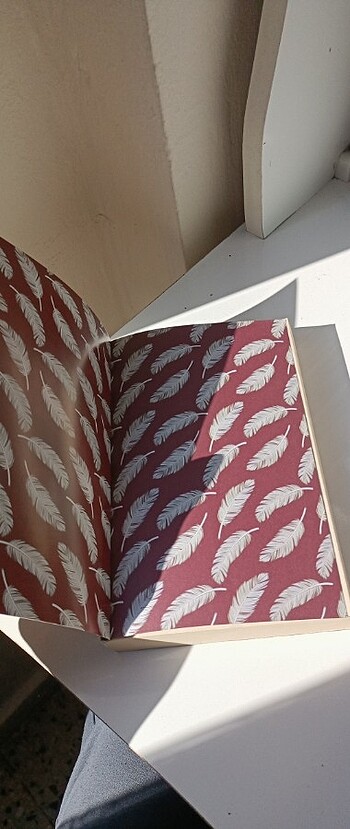  Beden Renk Hilekar kitap