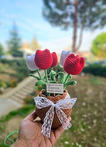 Saksıda Çiçek