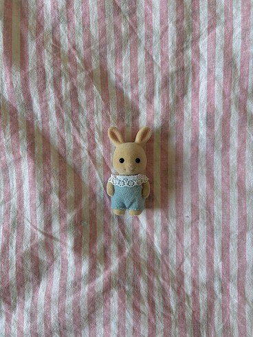 milk rabbit baby