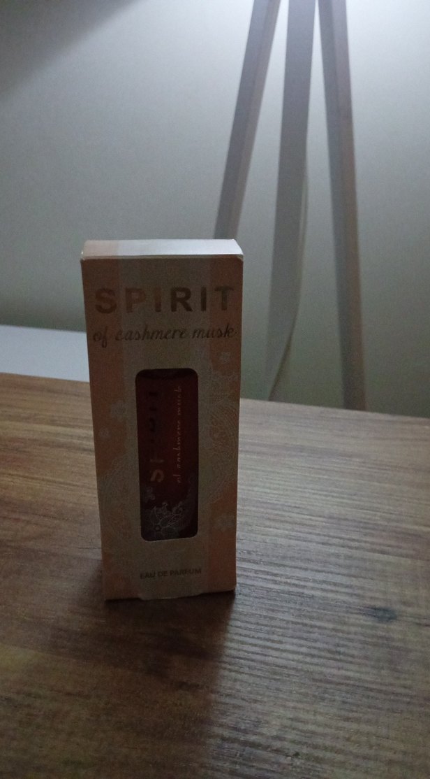 Spirit Kadın Parfümü - Görsel 2