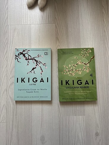 İkigai