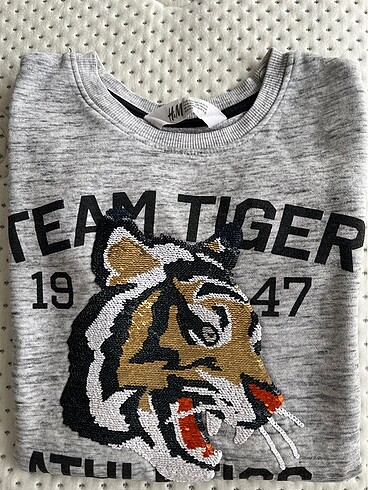 H&M erkek çocuk sweat