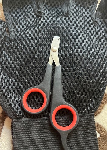 Renkli Kedi Bakım Seti - Görsel 8