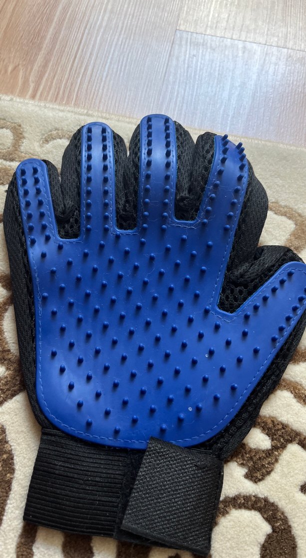 Renkli Kedi Bakım Seti - Görsel 4