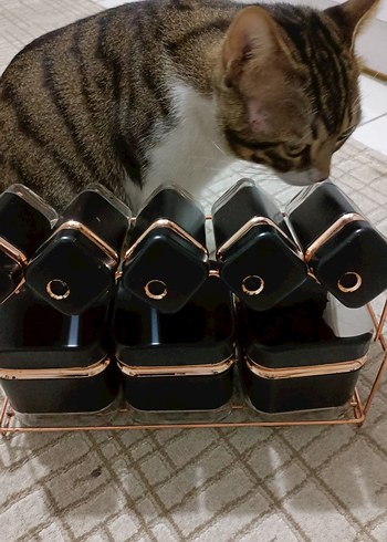 baharatlık takımı - Görsel 3