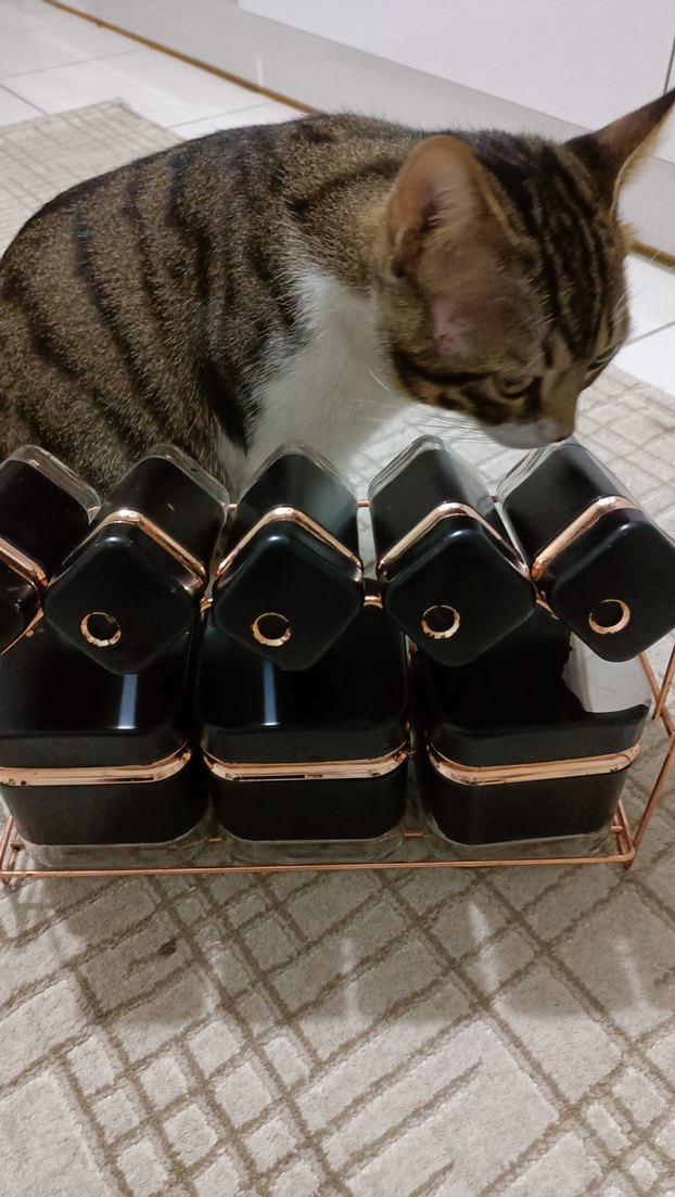 baharatlık takımı - Görsel 3