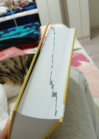 Kâmûs-ı Türkî Latin Harfleriyle - Şemseddin Sami - Görsel 2