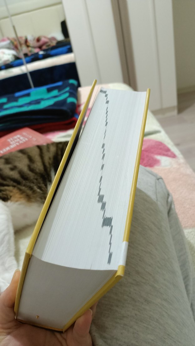 Kâmûs-ı Türkî Latin Harfleriyle - Şemseddin Sami - Görsel 2