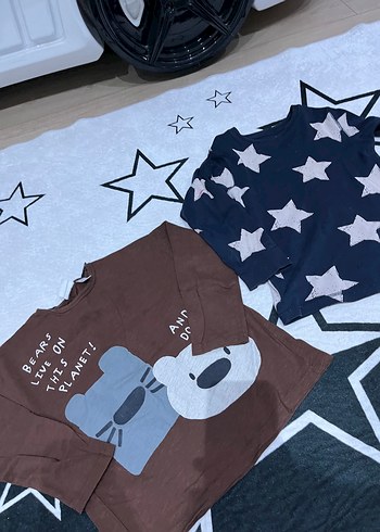 Zara Kahverengi Baskılı Uzun Kollu Erkek Tişörtü