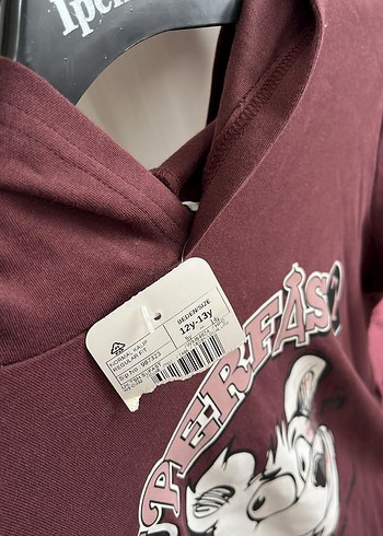 12-13 Yaş Beden Bordo Kız Sweatshirt, Baskılı, Uzun Kollu, Peluş Detaylı