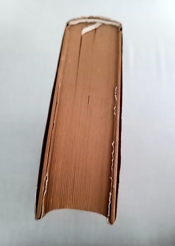 Galileo'nun Buyruğu (Ciltli) /Bilim Yazılarından Bir Derleme - Görsel 3