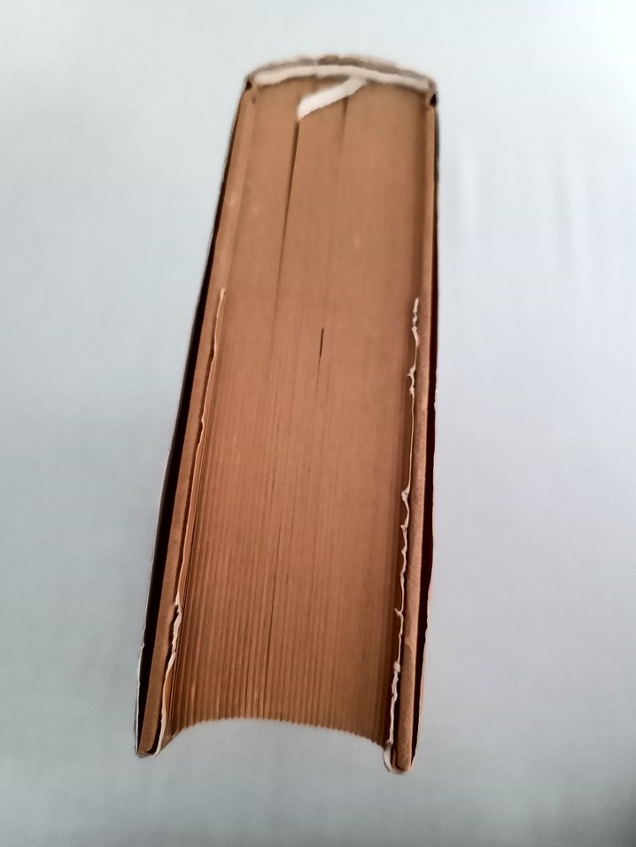 Galileo'nun Buyruğu (Ciltli) /Bilim Yazılarından Bir Derleme - Görsel 3