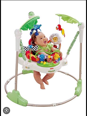 Fisher Price Fp Rainforest