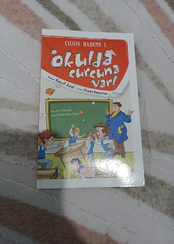 Çılgın Hademe Serisi