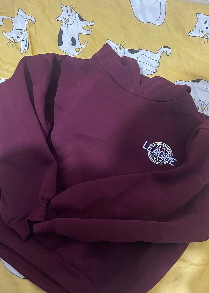 Sweatshirt - Görsel 2