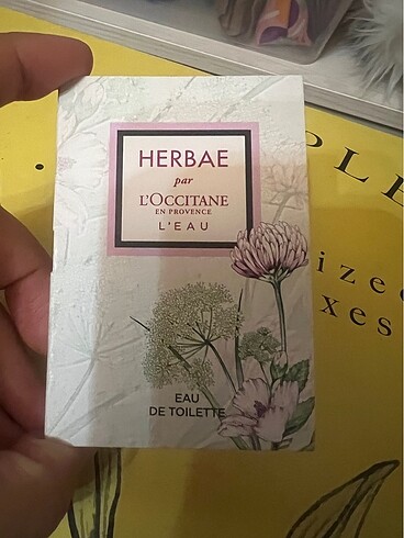 Loccitane Herbae Edt