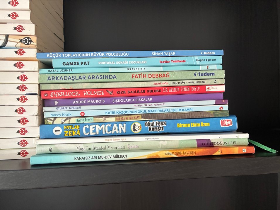 Çocuklar için çeşitli kitaplar 14 adet - Görsel 2